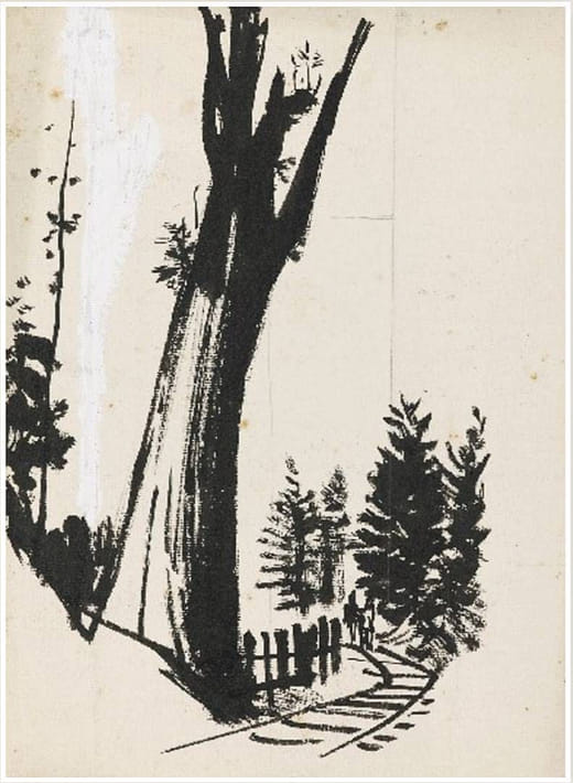 阿里山神木 A Divine Tree of Alishan