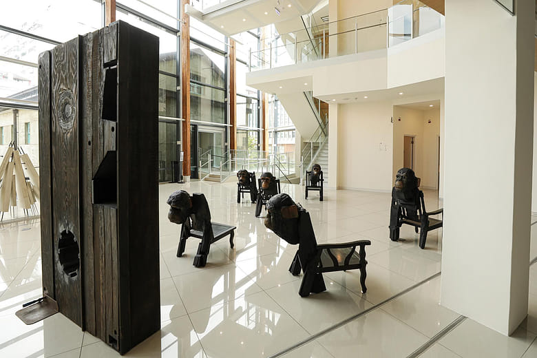 木頭進化史 Evolution of Wood