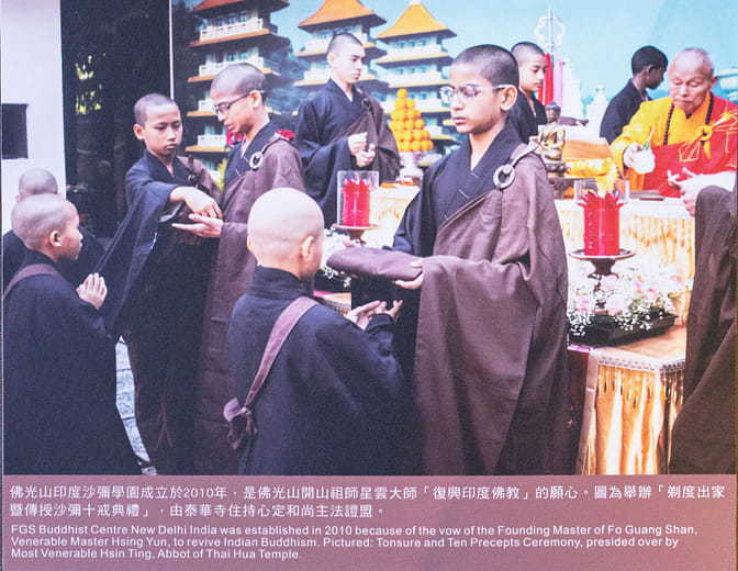 Education Endeavors in the Five Continents