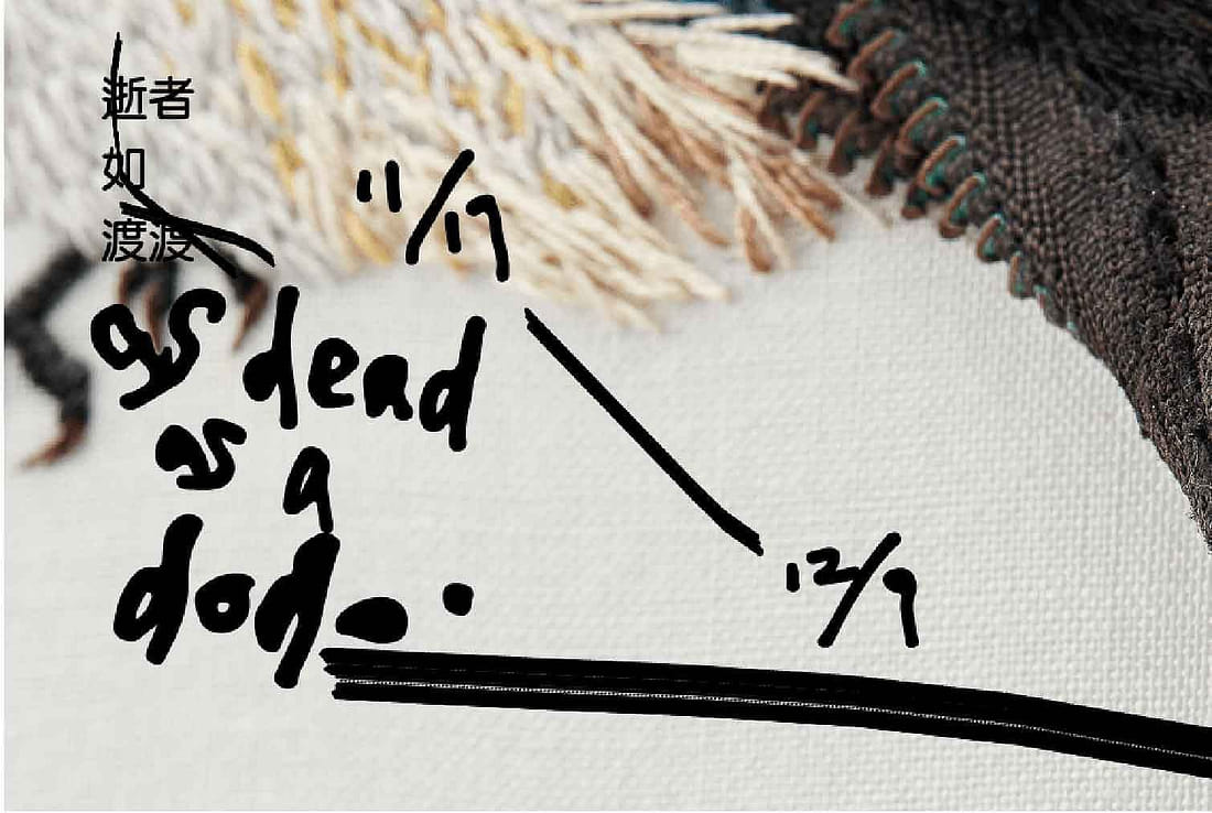 逝者如渡渡