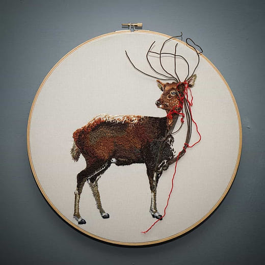 台灣水鹿 Formosan Sambar Deer