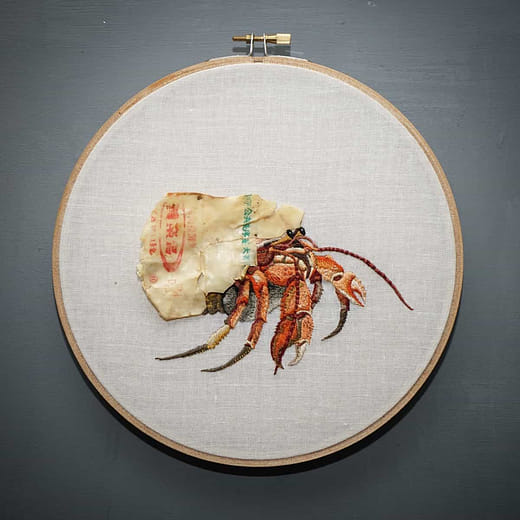 寄居蟹 Paguroidea