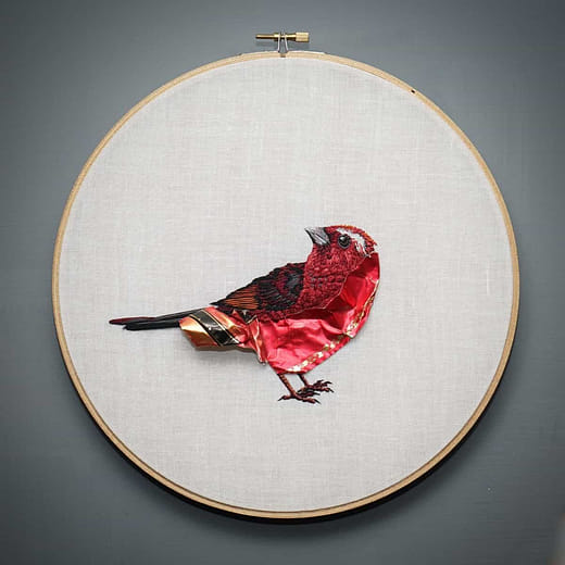 台灣朱雀 Carpodacus formosanus