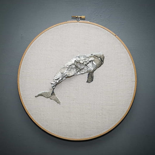 江豚 Neophocaena phocaenoides