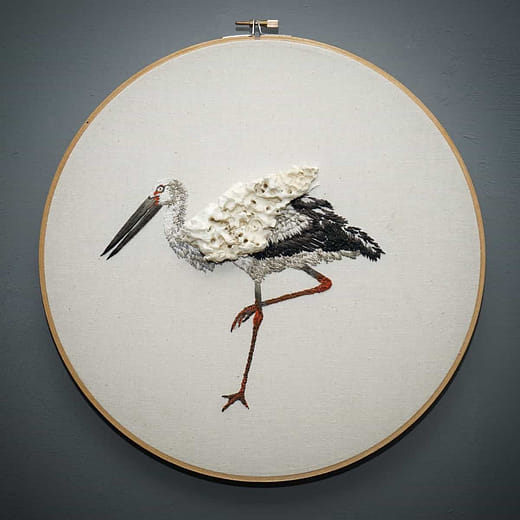 東方白鸛 Ciconia boyciana