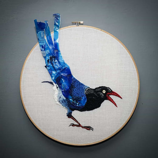 台灣藍鵲 Urocissa caerulea