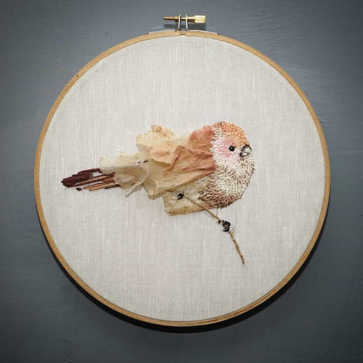 粉紅鸚嘴 Sinosuthora webbiana