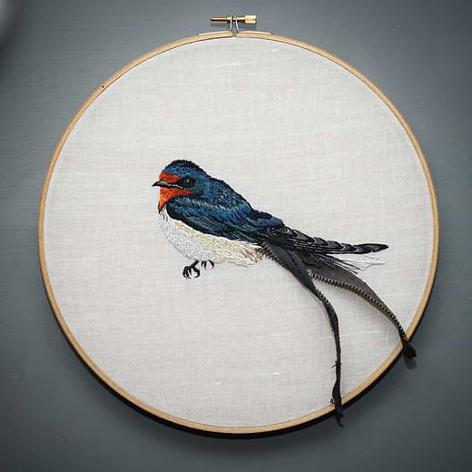 家燕 Hirundo rustica