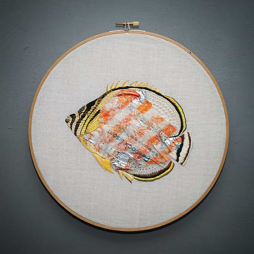 華麗蝴蝶魚 Ornate Butterflyfish