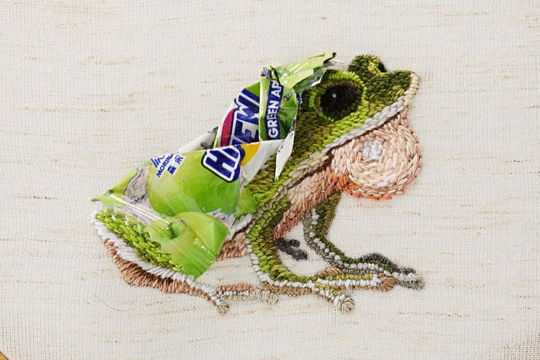 諸羅樹蛙 Rhacophorus arvalis