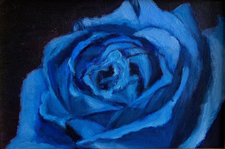 藍玫瑰