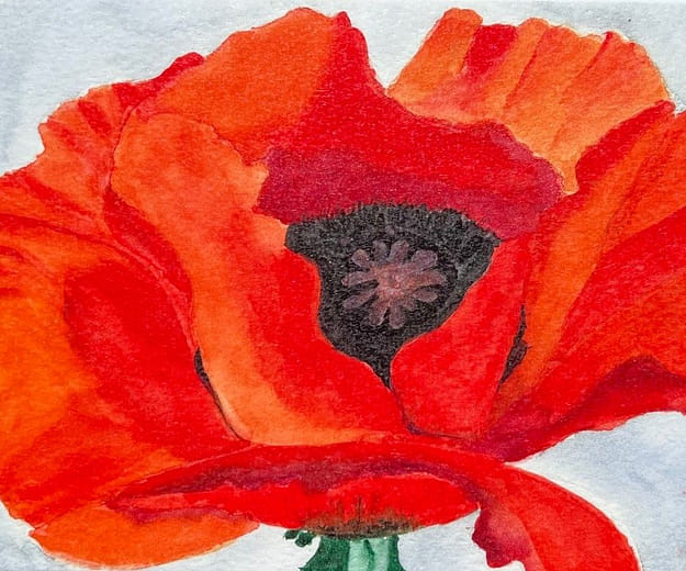 罌粟花（臨摹）