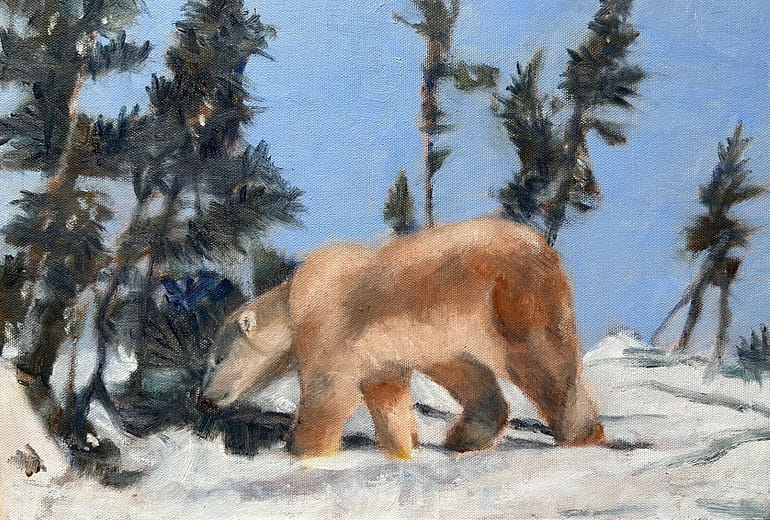 凍原裡的北極熊