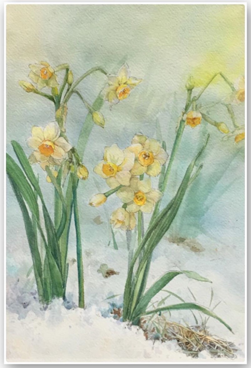 文化公益信託傳愛藝術教育基金