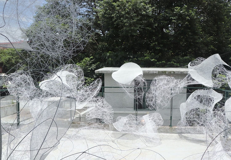 組織間隙 Interstice in tissue