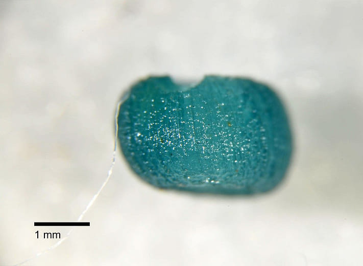 淇武蘭考古遺址出土玻璃珠