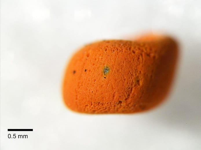 淇武蘭考古遺址出土玻璃珠