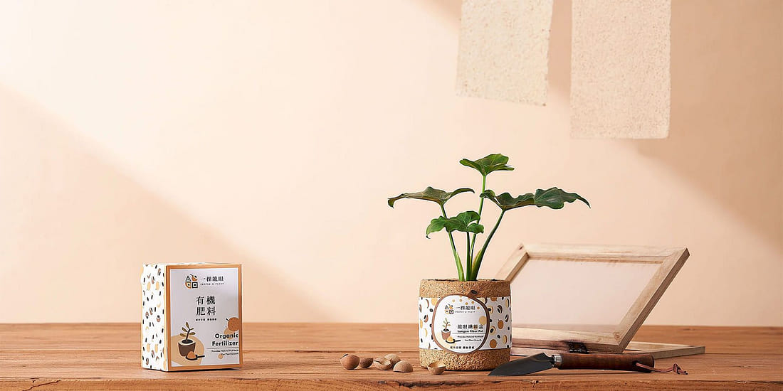 一棵龍眼 I KE LONG YAN