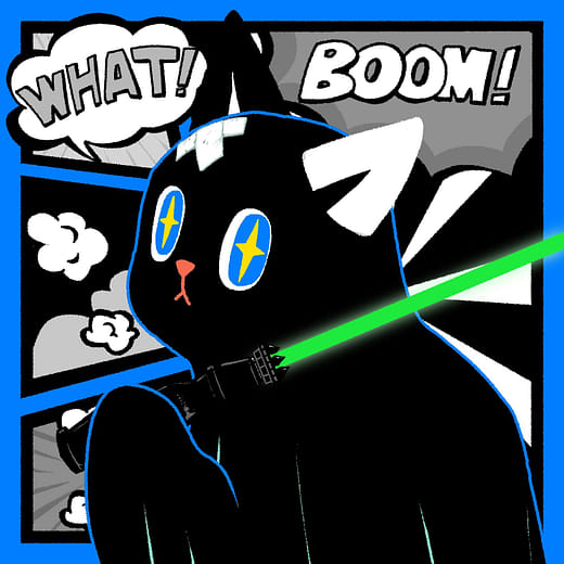 Starwar Cat