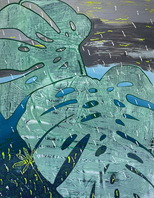 庭院裡的龜背芋