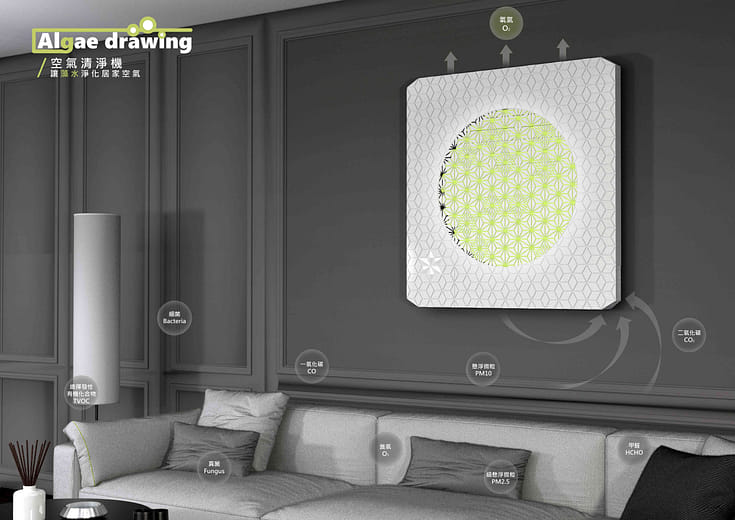Algae drawing/air purifier