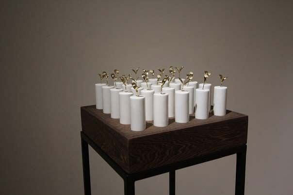 共生苗(金)  Symbiotic Seedlings (Gold)