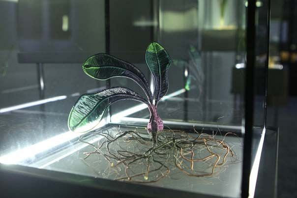 綠體記憶術—田邊與家栽系列(走路草)