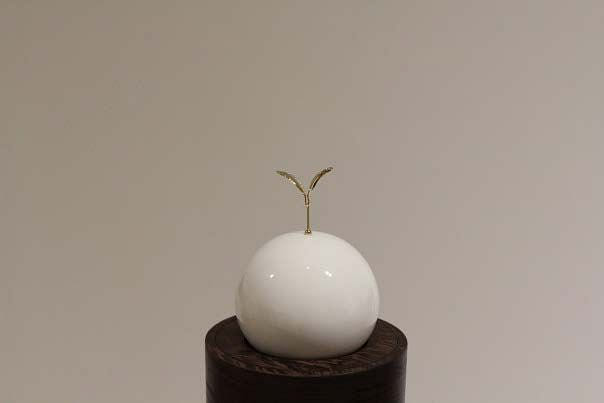 共生苗-儲存(金)  Symbiotic Seedlings The Carrier (Gold)