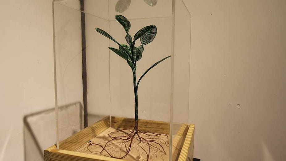 綠體記憶術—田邊與家栽系列(文旦)