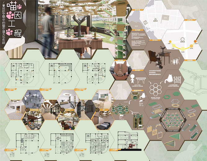 喵因工程：蔓延於三維空間中的貓走道