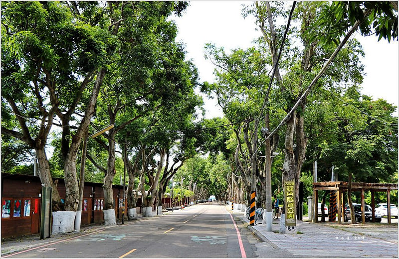 新冠肺炎對古坑日常生活與空間模式影響研究與重點地區調適規劃設計