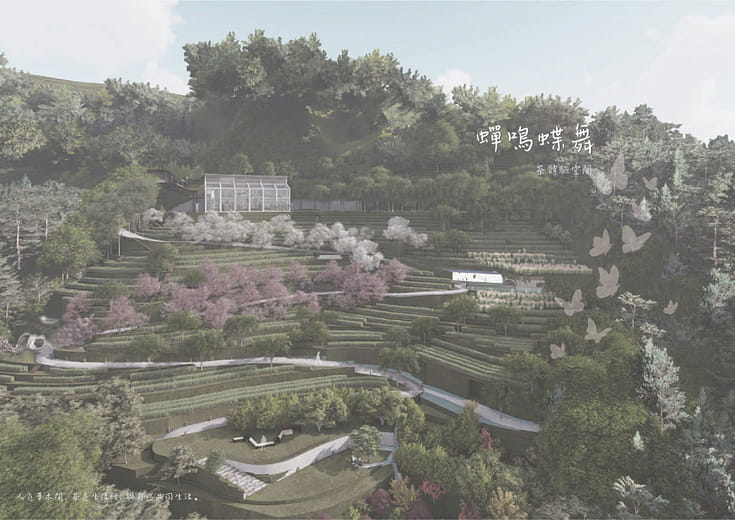 蟬鳴蝶舞 - Symbiosis  tea plantation