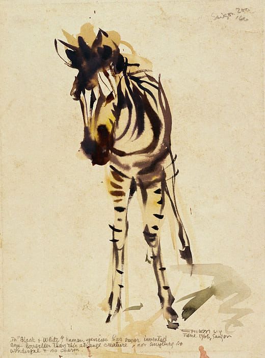 斑馬 Black + White