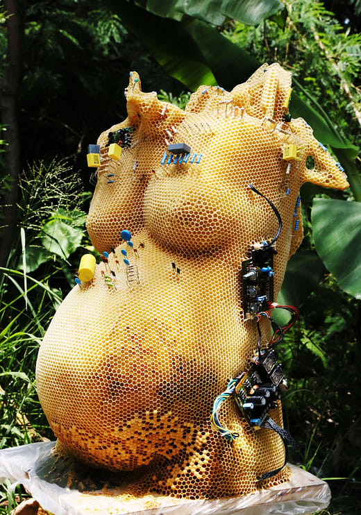 土城的維納斯（轉變中）