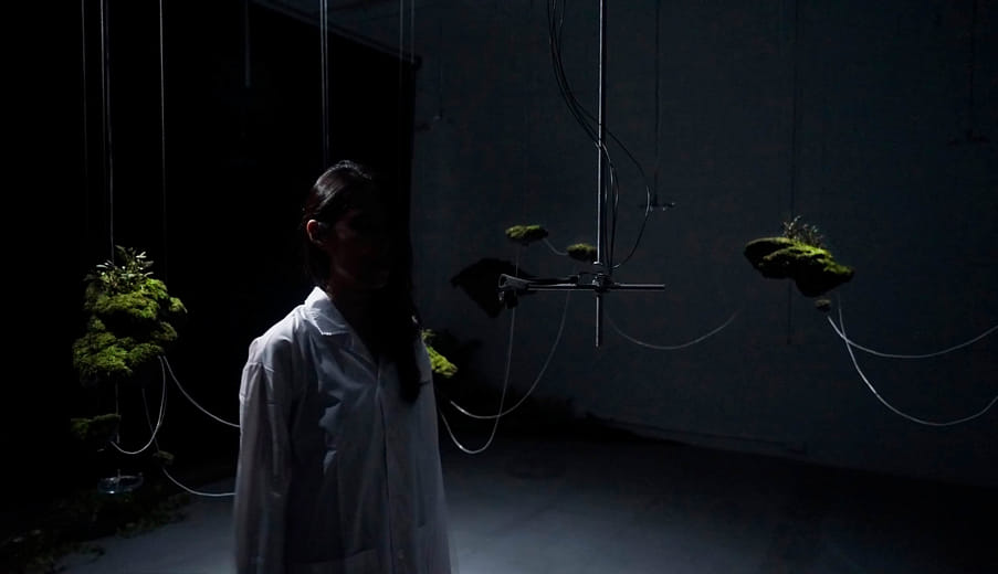 BIOSIGNAL-APERCEVOIR