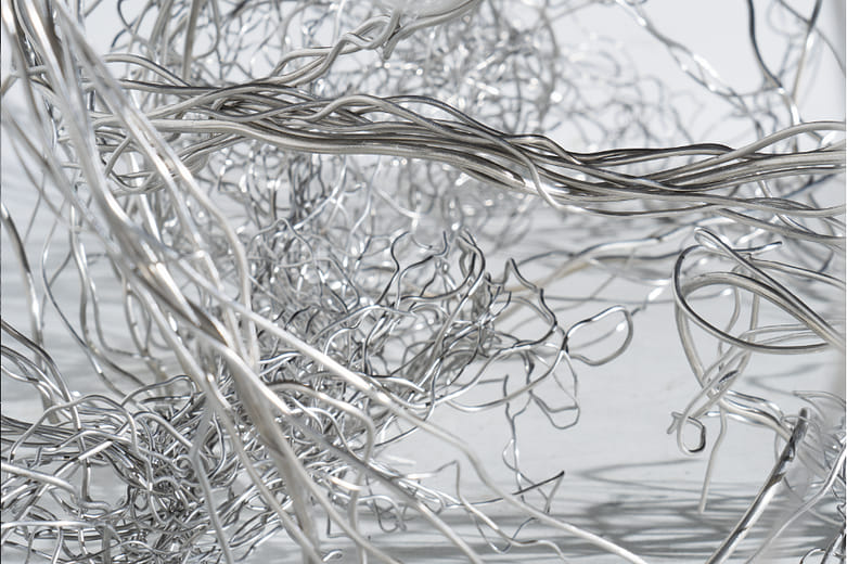 生長在實驗室邊緣的微小模型