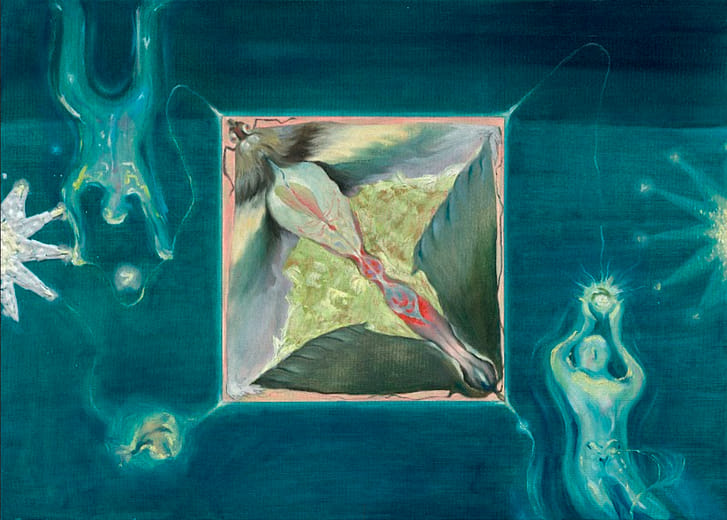 「趨光性昆蟲」