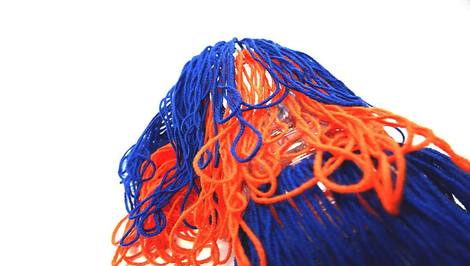 變形蟲 Plastic Ｗorm