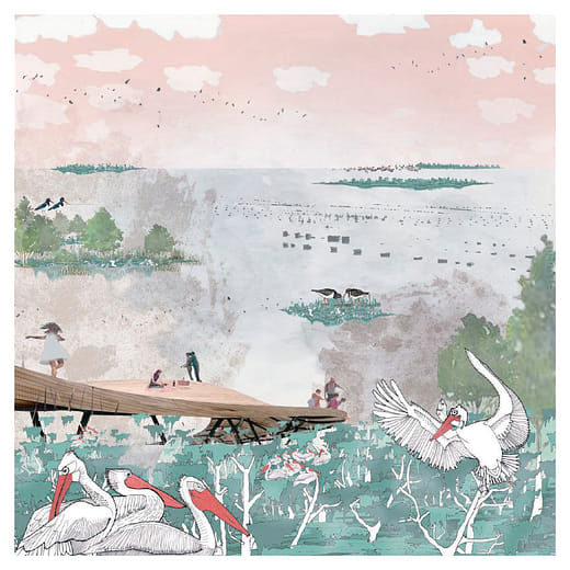 海嵎 Disappearing Wetlands