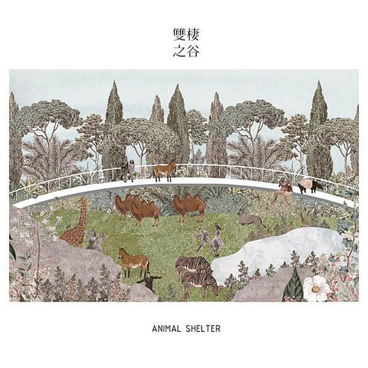 雙棲之谷 - Animal shelter