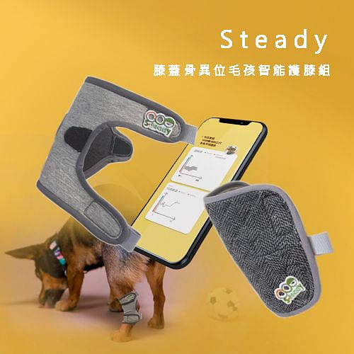 Steady 膝蓋骨異位毛孩智能護膝組