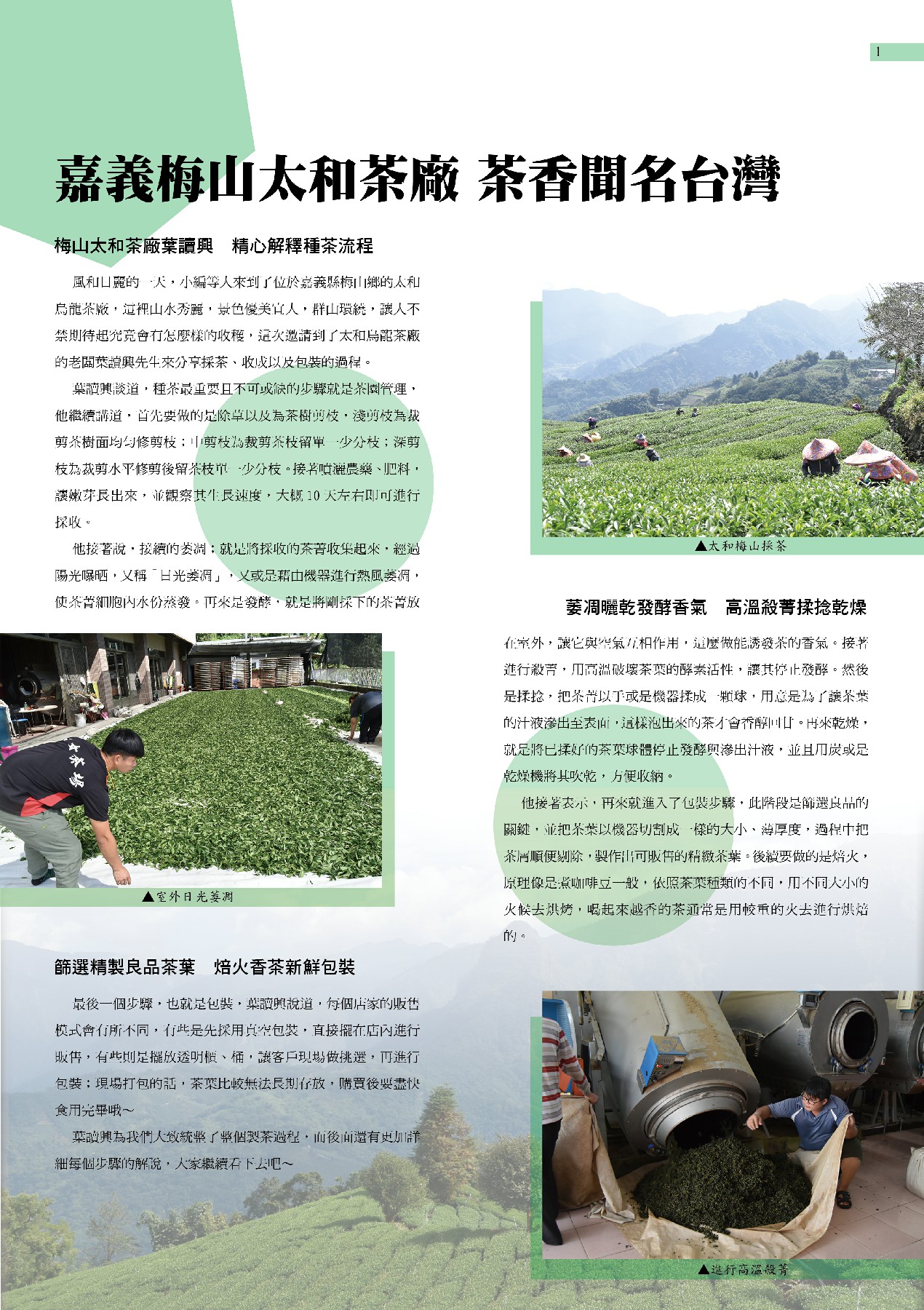 茶藝復興
