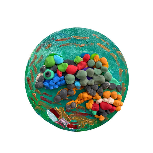 樹枝旁的變色龍