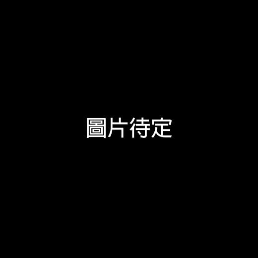 競走財經版圖—李國鼎