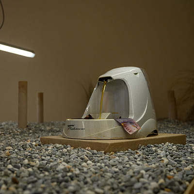 羅智信 Jr-Shin LUO