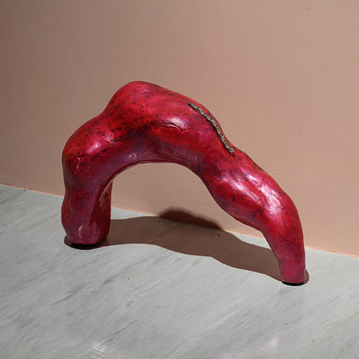 菌母，黃湯－消化不良 001 Scoby skin, yellow soup - Existential indigestion 001