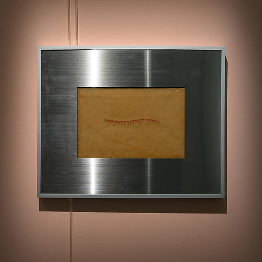 菌母，黃湯－菌制約 004 Scoby skin, yellow soup – Containmination 004