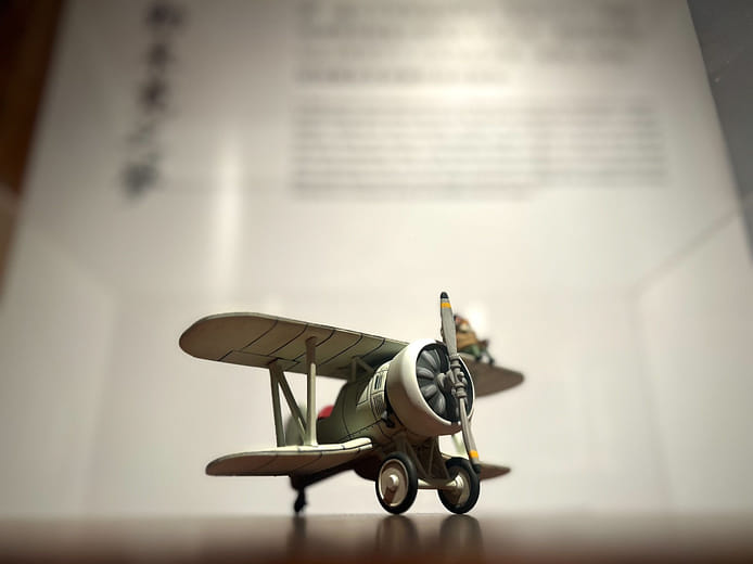 Airman 3D Model