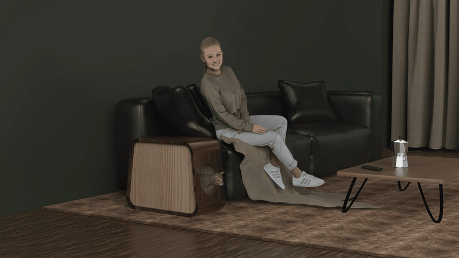 人貓共享家具 - Furniture Design Accommodating Cats and Owners