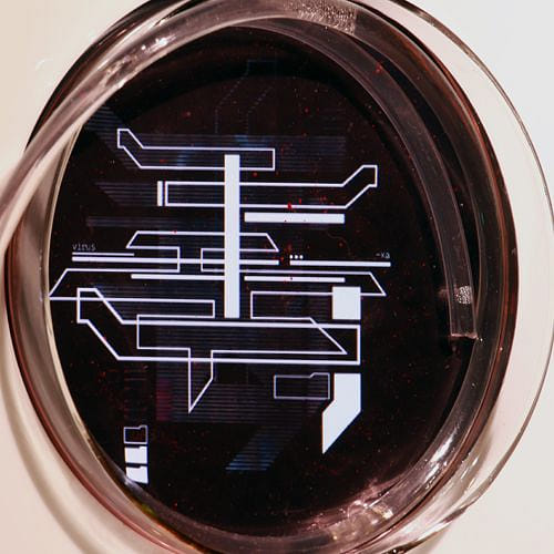 人造病毒轉譯計畫